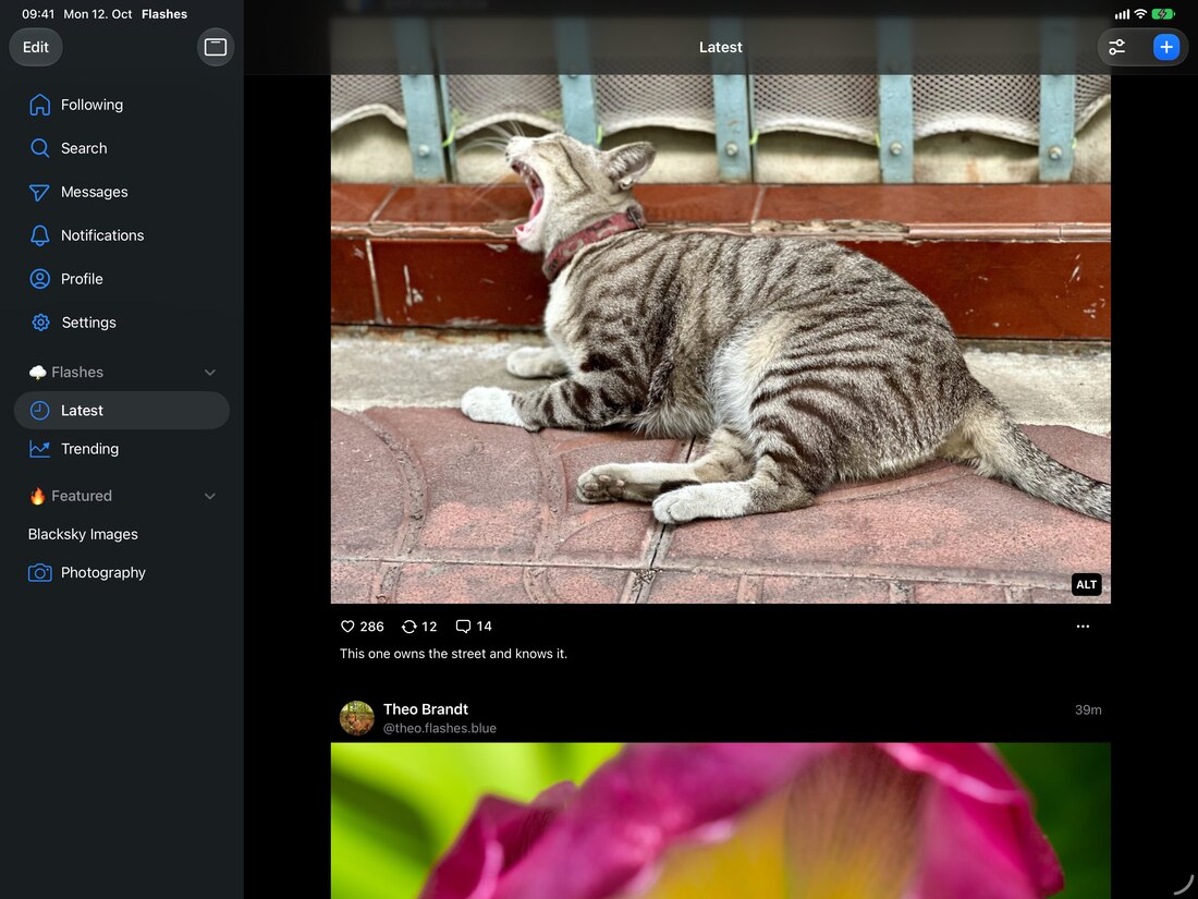 The Flashes feed on an iPad, with the sidebar