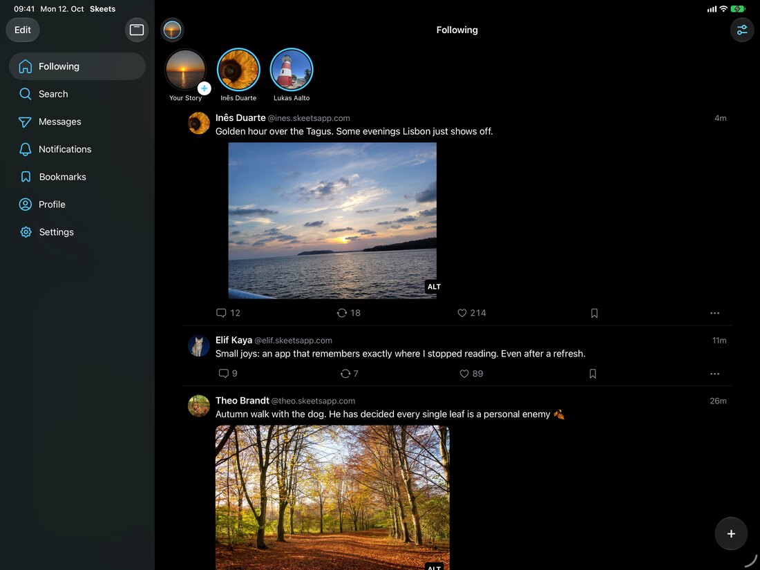 The Skeets timeline on an iPad, with the sidebar