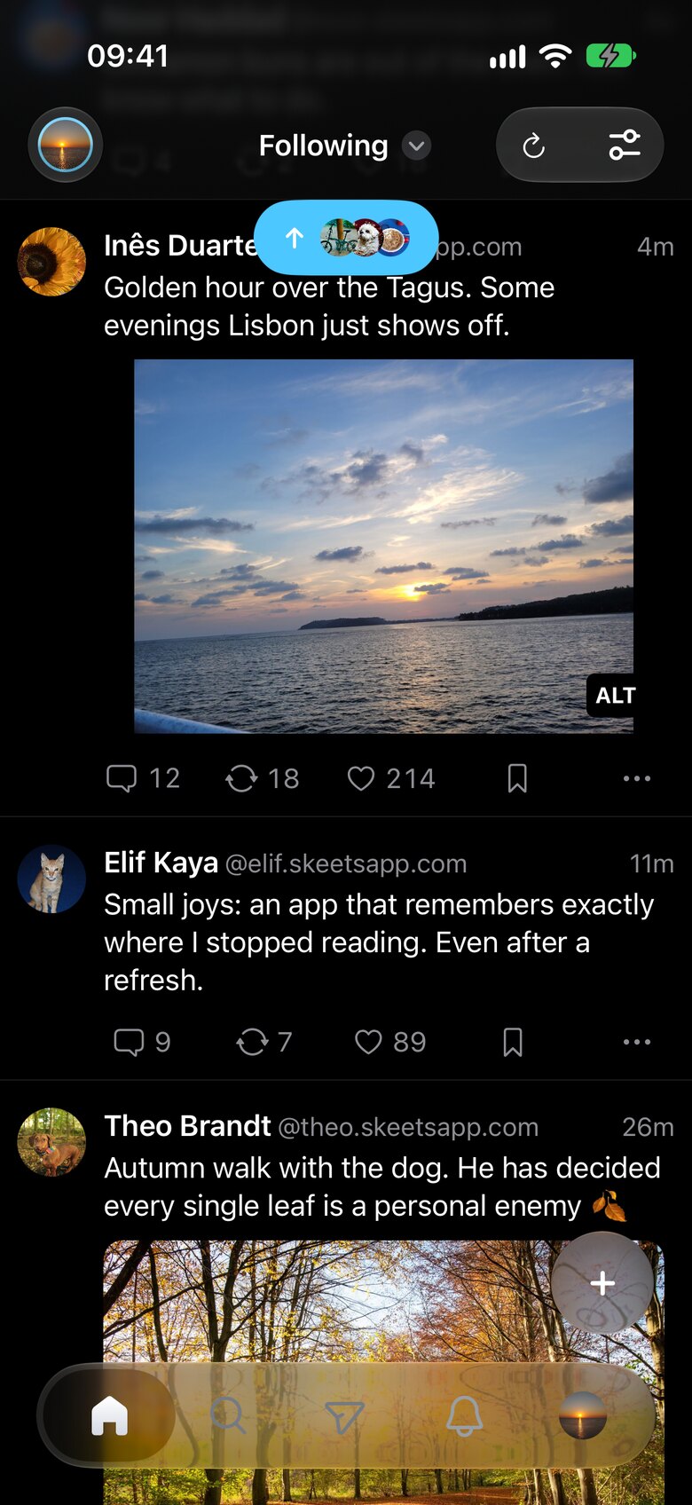 The Skeets timeline on an iPhone